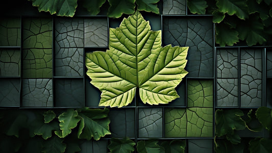 Green Leaf Mood Frame